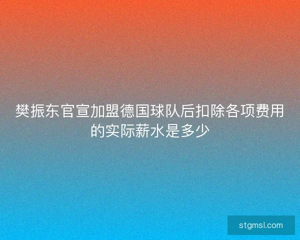 樊振东官宣加盟德国球队后扣除各项费用的实际薪水是多少