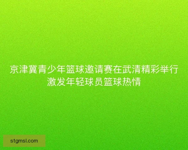京津冀青少年篮球邀请赛在武清精彩举行激发年轻球员篮球热情
