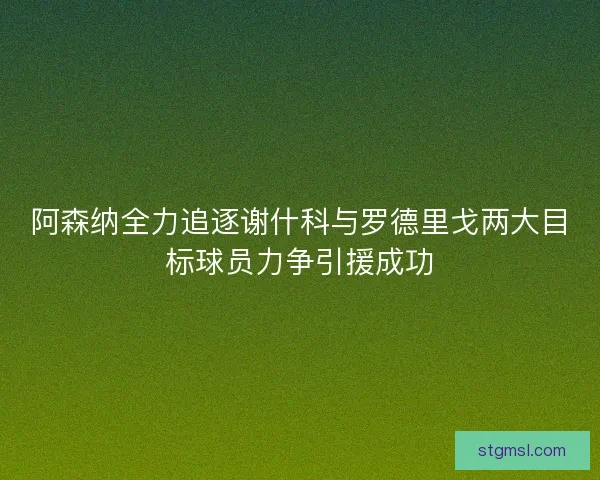 阿森纳全力追逐谢什科与罗德里戈两大目标球员力争引援成功